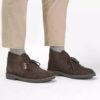 Bottes Desert Boot Evo pour homme en daim marron foncé, style chukka Bottes Desert Boot Evo pour homme en daim marron foncé, style chukka