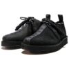 Clarks x Neighborhood Desert Trek GTX « Black » 26167086
